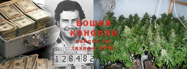 СК Медвежьегорск