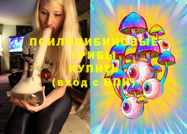 СК Медвежьегорск