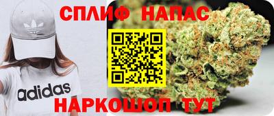 стаф Заволжье