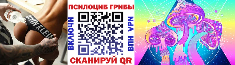 Галлюциногенные грибы Cubensis  закладки  Раменское 