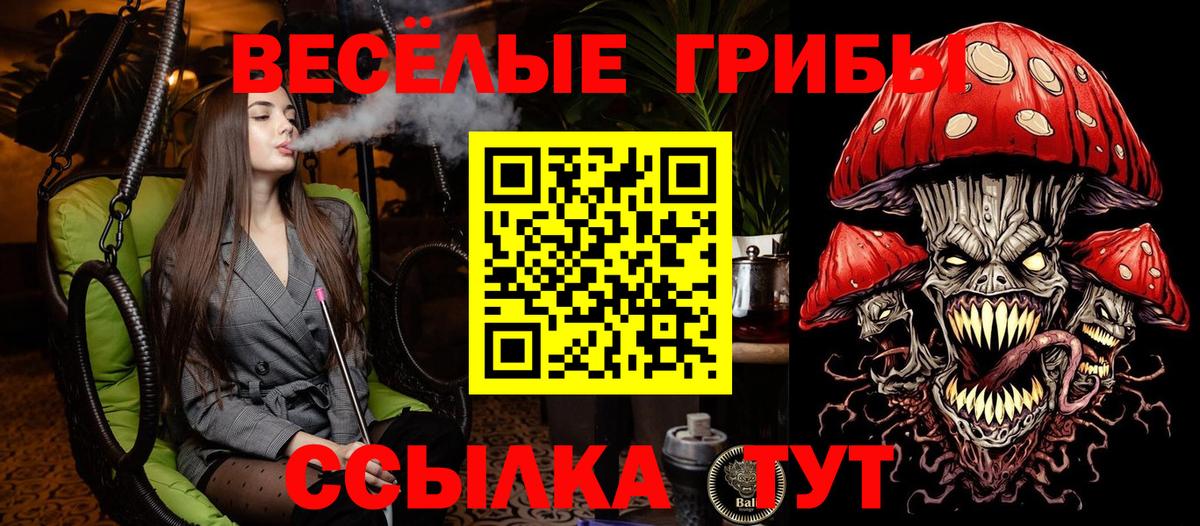 Псилоцибиновые грибы Magic Shrooms Раменское