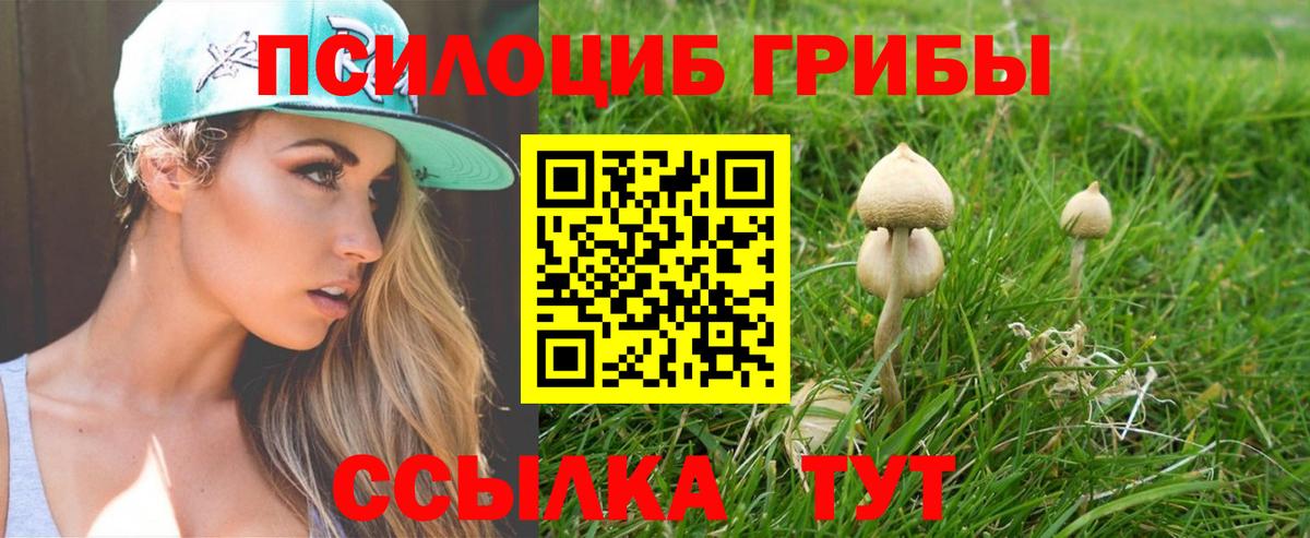Псилоцибиновые грибы MAGIC MUSHROOMS  Раменское 