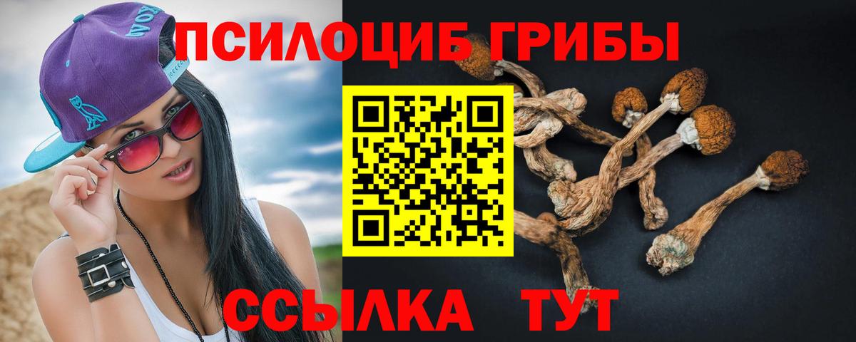 Раменское  Галлюциногенные грибы прущие грибы  Псилоцибиновые грибы Psilocybe  Вход с VPN 